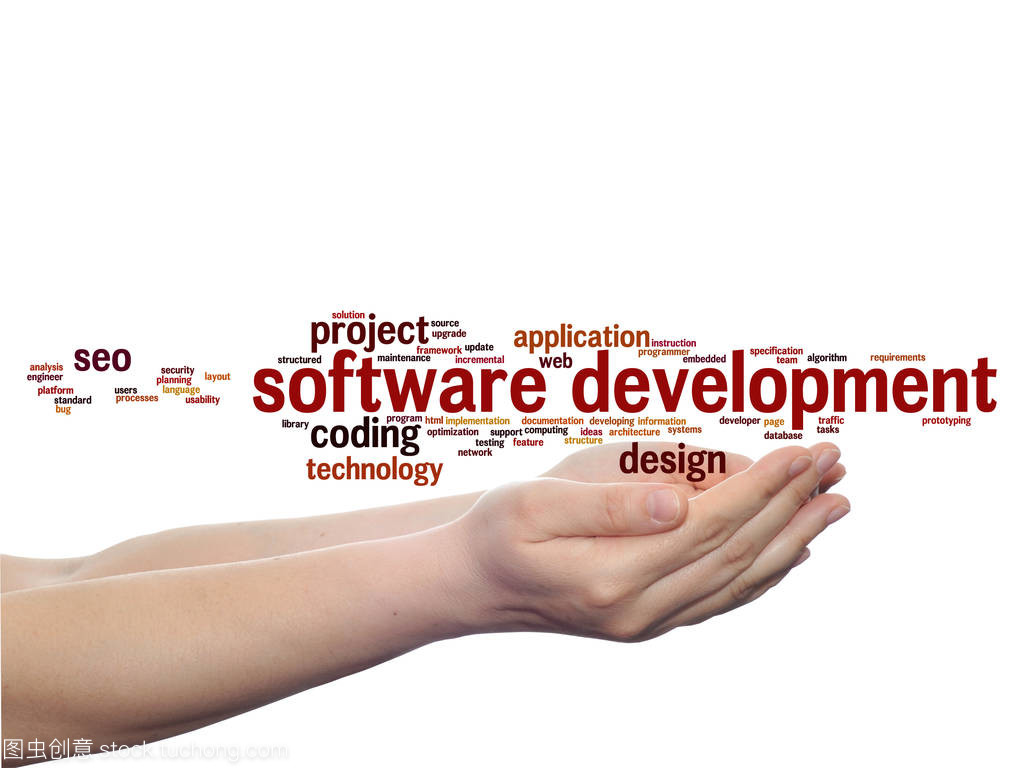 软件开发项目中的计算机系统集成服务